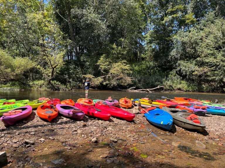Mad Musky Water Sports Rentals