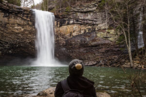 Photo credit: TN Photographers