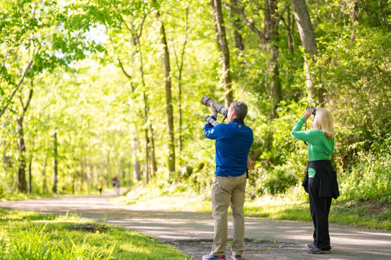 Barren Fork Greenway Trail Birding