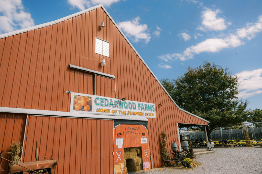 A large red gambrel-roof barn at Cedarwood Farms featuring a "Home of the Pumpkin Patch" sign and a hay maze entrance.