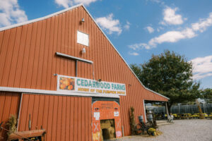 A large red gambrel-roof barn at Cedarwood Farms featuring a "Home of the Pumpkin Patch" sign and a hay maze entrance.