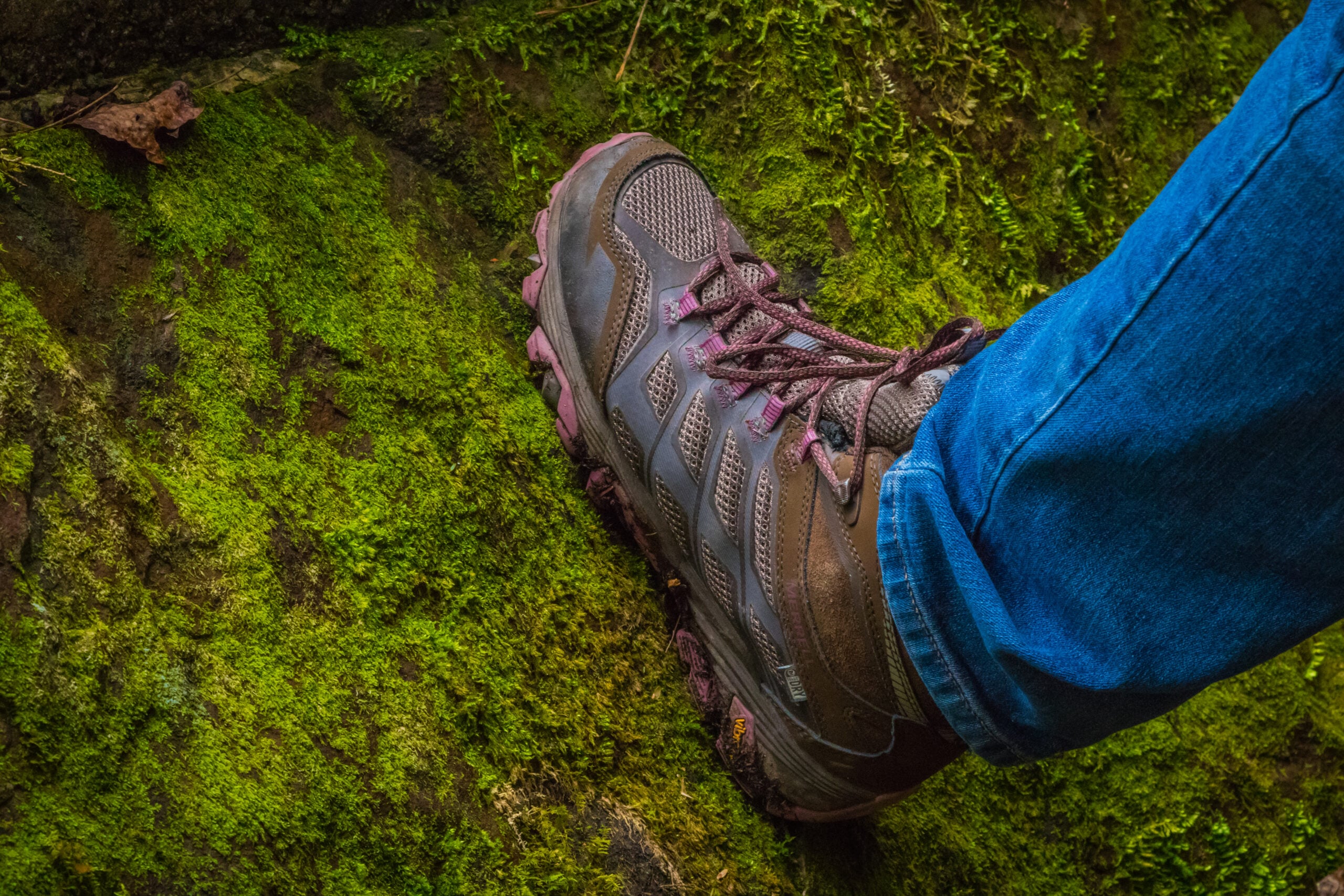 Hiking Boot on Moss at Savage Gulf State Park